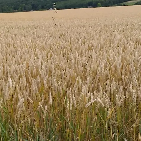 Le De La Poterie Villa *