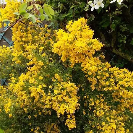 Le De La Poterie Villa *