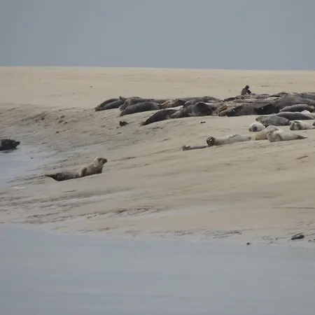 Le De La Poterie Eu (Seine-Maritime)
