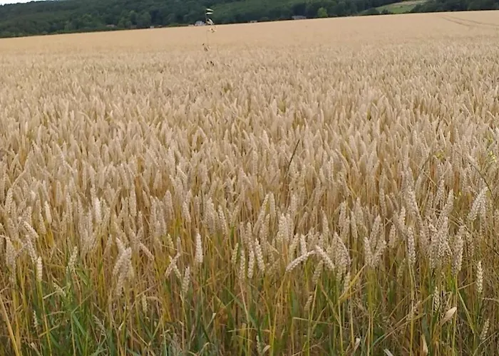 Le De La Poterie Βίλα *