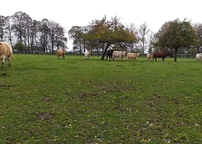 Le De La Poterie Βίλα Ε (Σεν Μαριτίμ)