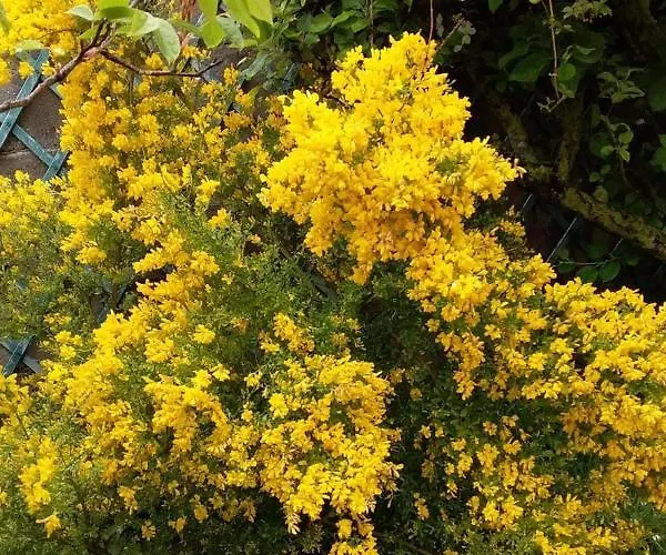 Le De La Poterie Βίλα *