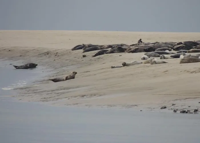 Le De La Poterie Ε (Σεν Μαριτίμ)